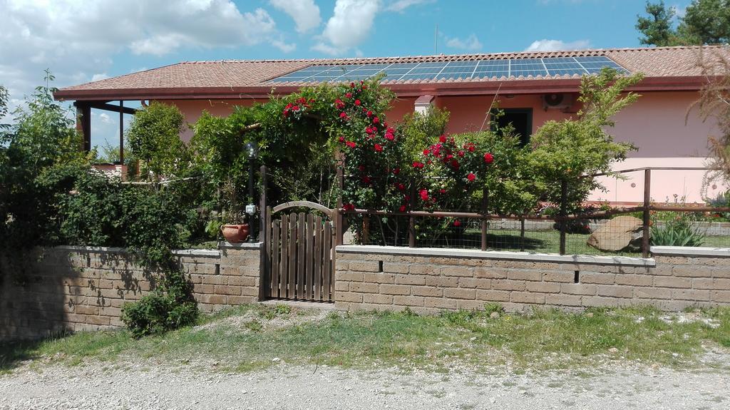 Agriturismo Collelungo Di Maremma Diaccialone Bagian luar foto