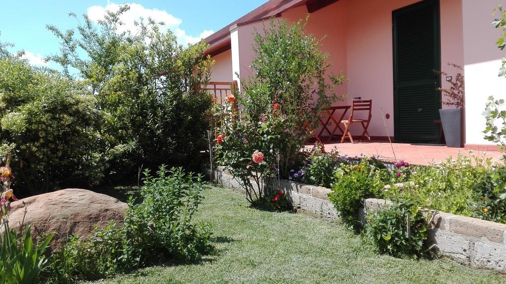 Agriturismo Collelungo Di Maremma Diaccialone Bagian luar foto
