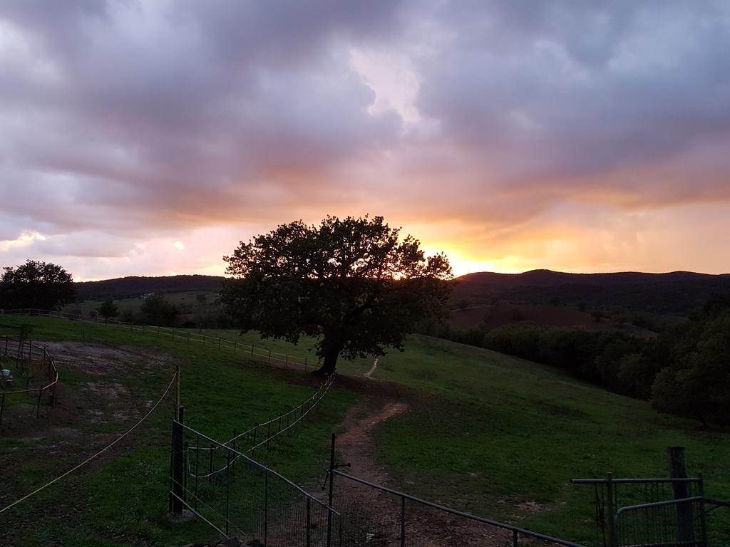 Agriturismo Collelungo Di Maremma Diaccialone Bagian luar foto