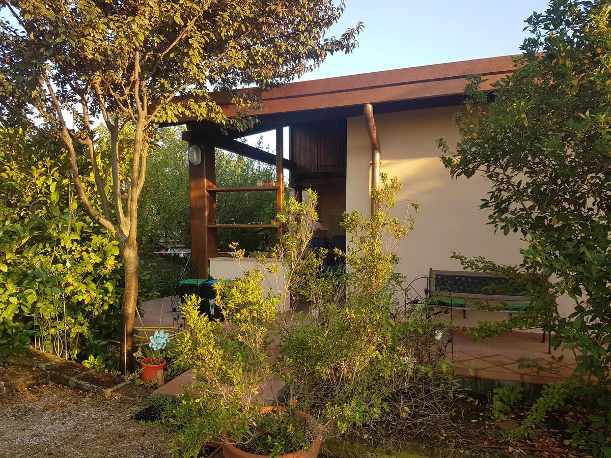 Agriturismo Collelungo Di Maremma Diaccialone Bagian luar foto