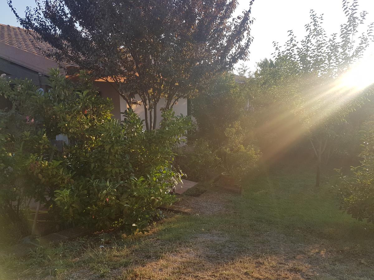 Agriturismo Collelungo Di Maremma Diaccialone Bagian luar foto